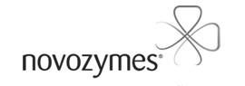 Novozymes BioPharma - SEO Consultancy
